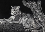 by Jennifer Jeffris