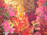 by dp mishra