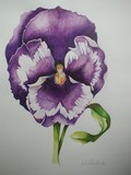 by Lisa Luchia Stocks