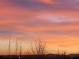 by Debra Kott