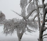 by marie-claire gallet