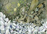 by Joanna Bromley