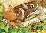 by Joanna Bromley