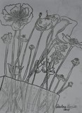 by darlene barratt