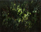 by Suly B. Wolff