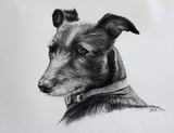 by Zile 