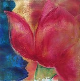 by Paula Sievert