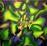 by Schuyler Rideout