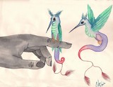 by Natile Jacques