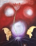by Jure CEKUTA