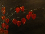 by Lanny Roff