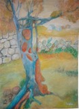 by Alfio Schillaci