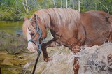 by Ellie Zukoski
