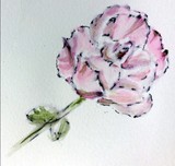 by Dana Koffenberger