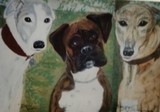 by Dawn Moir-Harris 