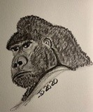 by JD Pearce