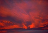 by Randy Schwanke