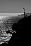by Scott  Alexander Jack