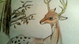 by Angela Jensen