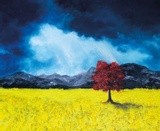 by Tammy Donaldson