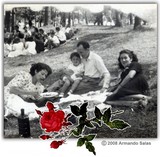 by Armando Salas