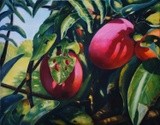 by Nino Dobrosavljevic