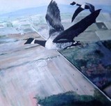 by William Gammon