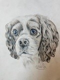 by Ariella Belau