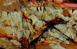by Emilio B. Campo-Diaz