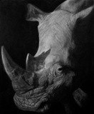 by Rand Arrington