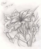 by Christopher G. Ang