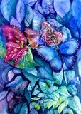 by Donna PierceClark
