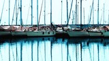 by Reha Ozer