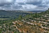 by Nira Dabush