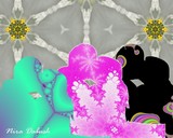 by Nira Dabush