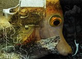 by Balz Bietenholz