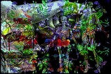 by Jo Glasscock