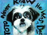 by Robyn Henzel