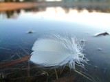 by Stevan Lund