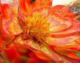 by Ginger Olansen