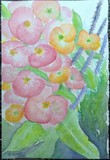 by Belinda Balaski