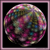 by Patti Britt