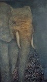 by Irena  Dukule