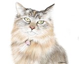 by Terri Walker