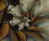 by Dawn Edwards