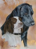 by Belinda Matthews