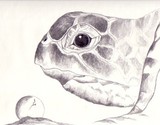 by Kiesha Crowther