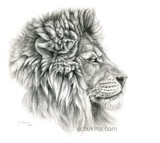 by Svetlana Ledneva-Schukina