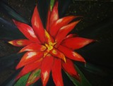 by Julie Lamons