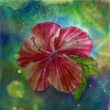 by Ingrid Kolster